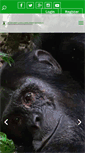 Mobile Screenshot of erudef.org
